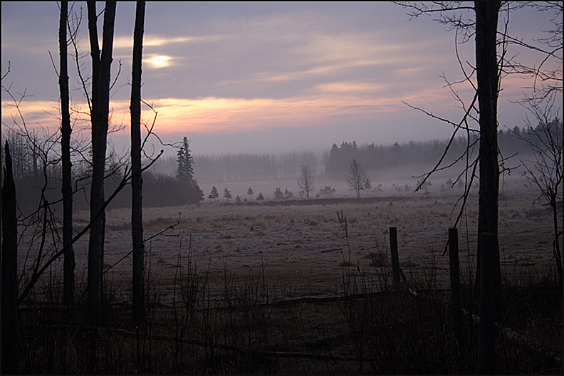 foggy morning sunrise