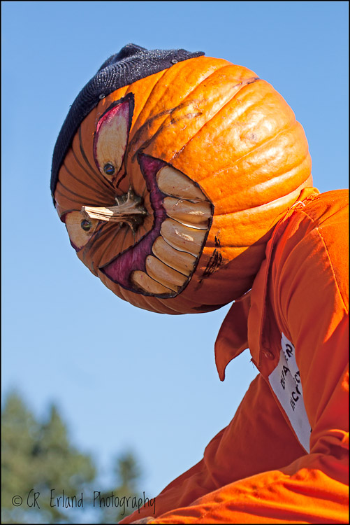 Pumpkin Man