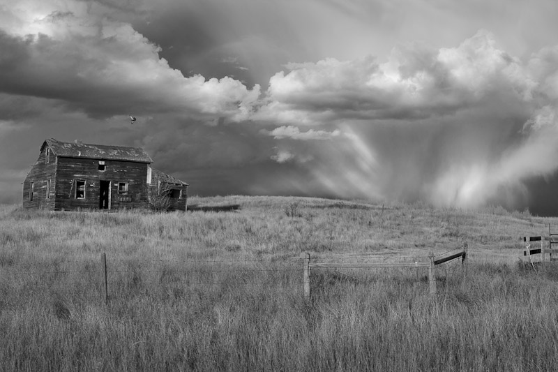 20111012_Drumheller_0131 BW.jpg