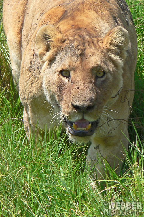 D060629-136JA.jpg