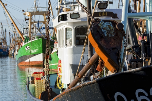 Ostend fishing harbour