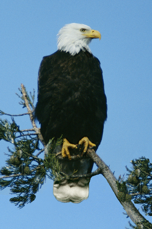 At Gibson House Oak Bay B.C.