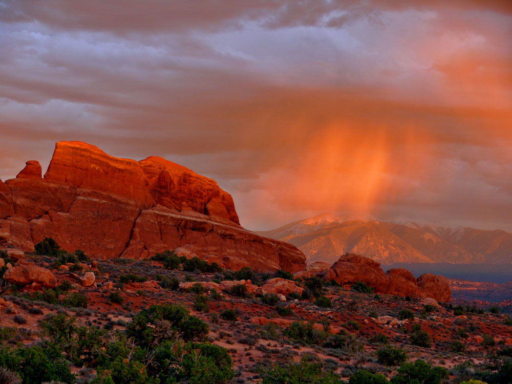 Golden rain, Arches National Park, Utah, 2006