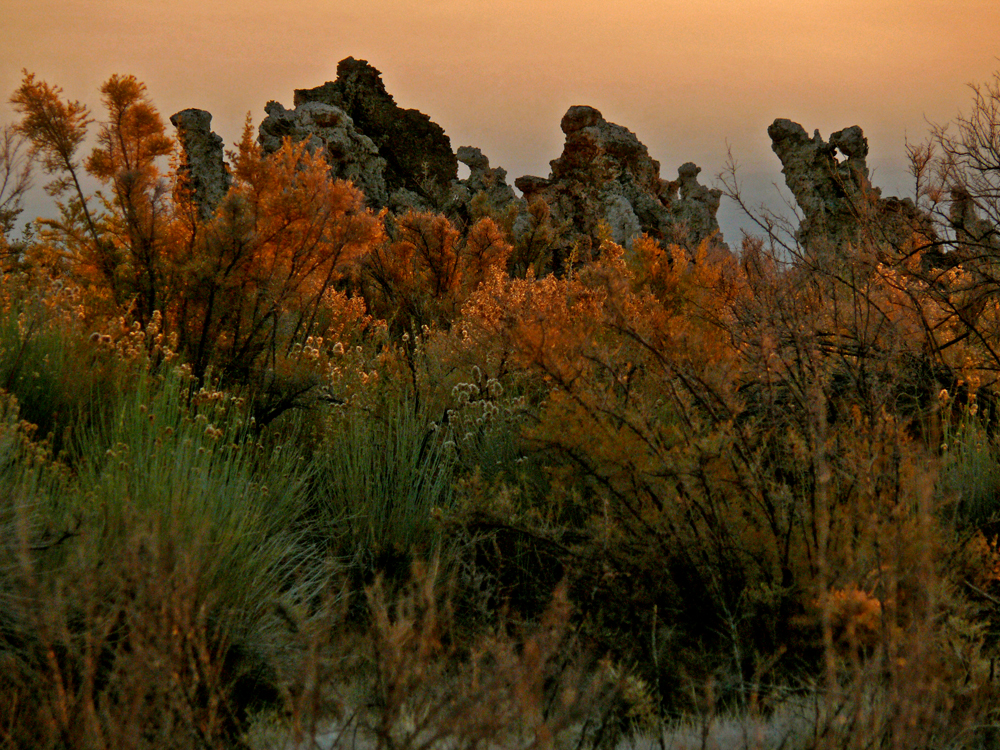 Pre-dawn, Mono Lake, California, 2006