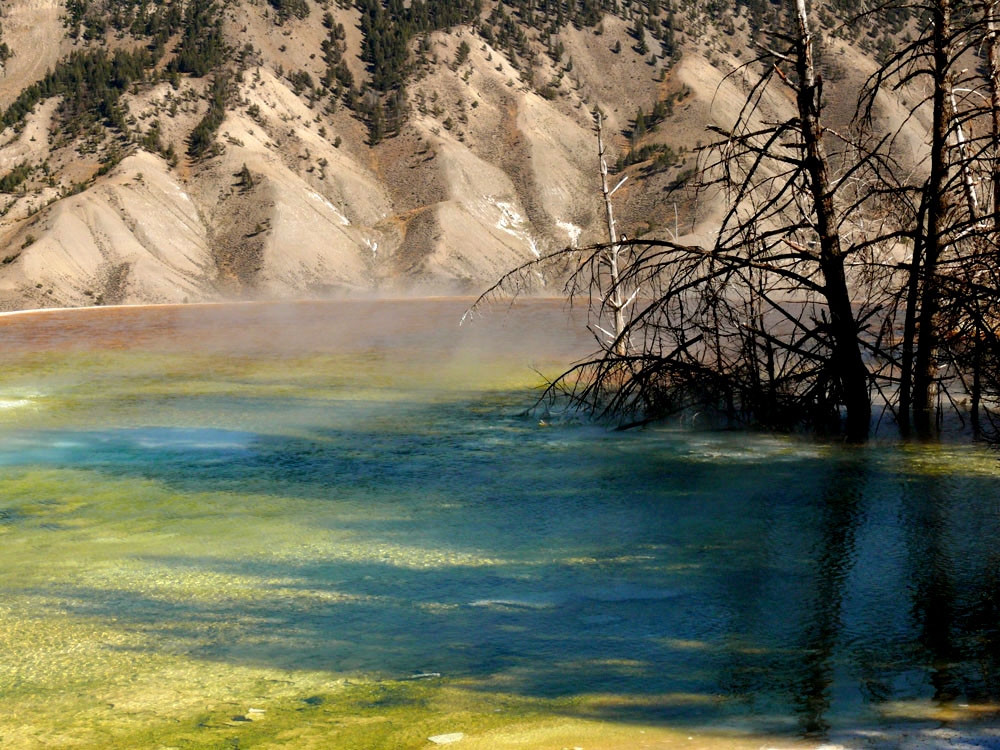 Canary Spring, Yellowstone National Park, Wyoming, 2006
