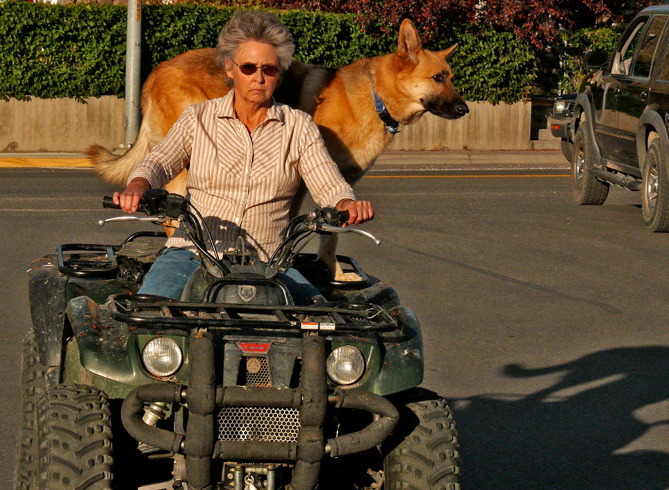Free ride, Gardiner, Montana, 2006
