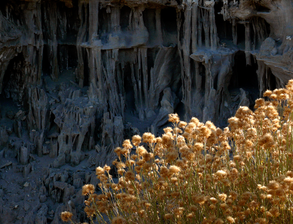 Sand Tufa, Navy Beach, Mono Lake, California, 2006