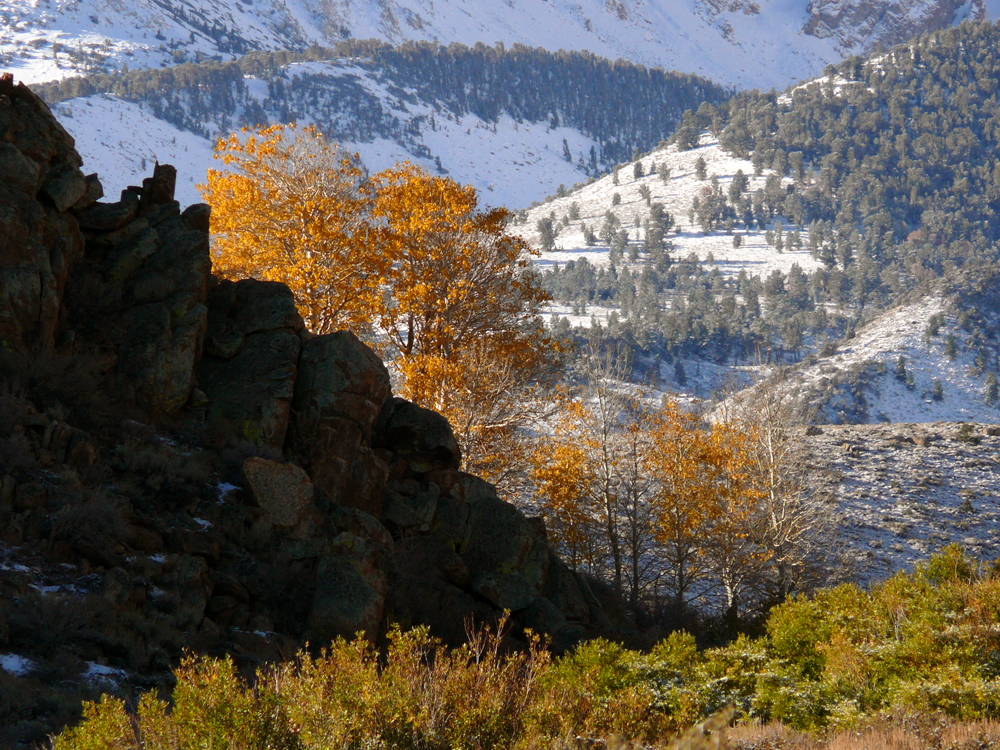 Changing seasons, Buttermilk Hills, California, 2006