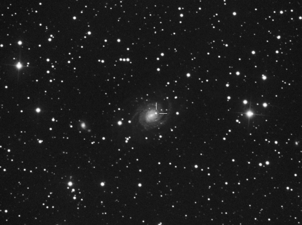 IC4901 Supernova 21 Oct 2011 discovered by Greg Bock CDK17 ML8300 70mins 2x2 -35C.jpg