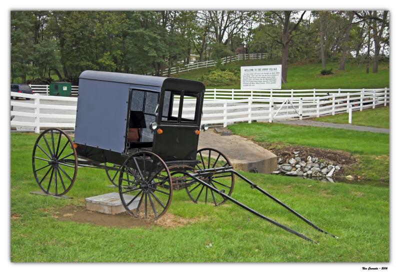 Amish Buggy