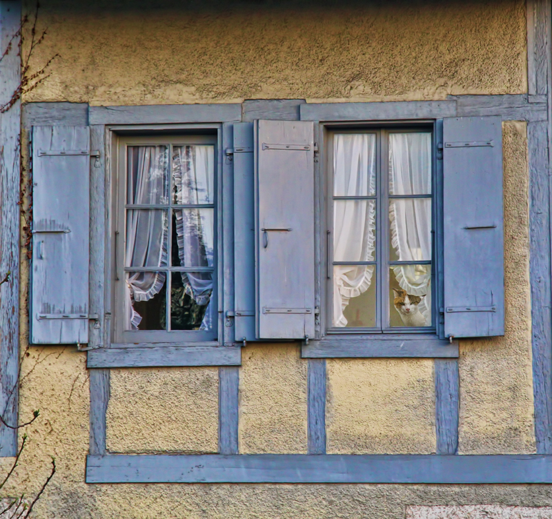 The windows which looked for outdoor secrets....