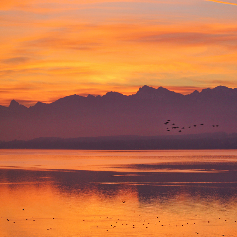 Sunrise flight...