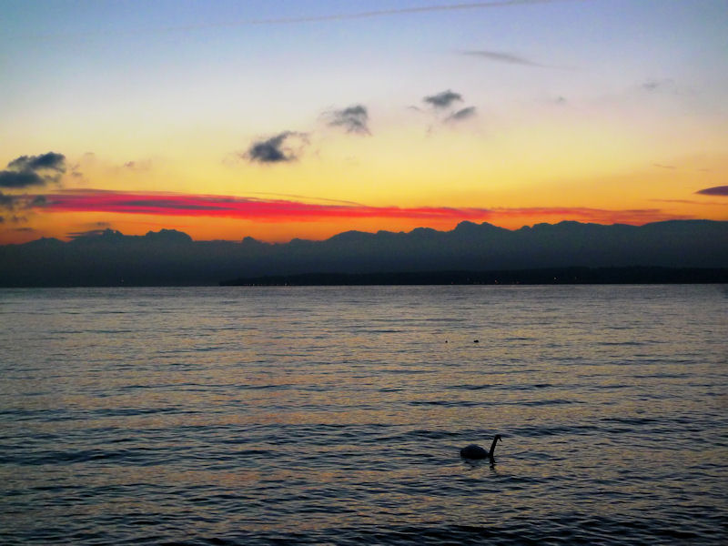 Smoke signals from the lake...