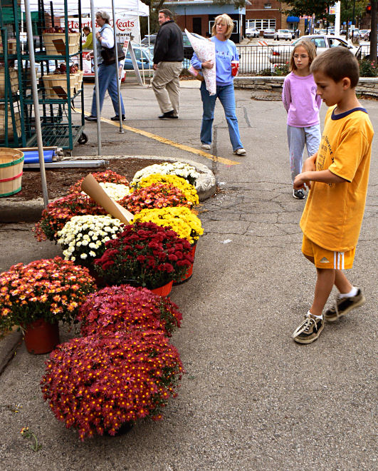 Mums Market