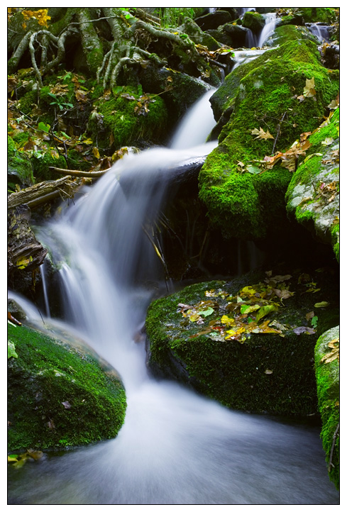 Mossy Falls