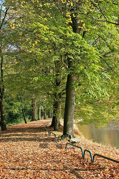 Stadspark Turnhout