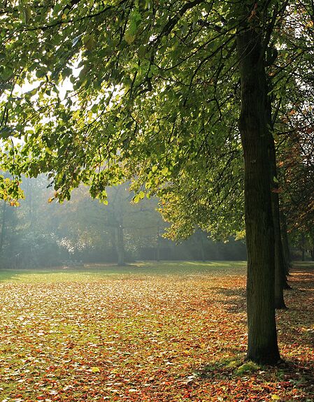 Stadspark Turnhout