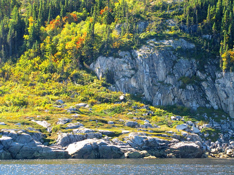 dbut d'automne sur le fjord