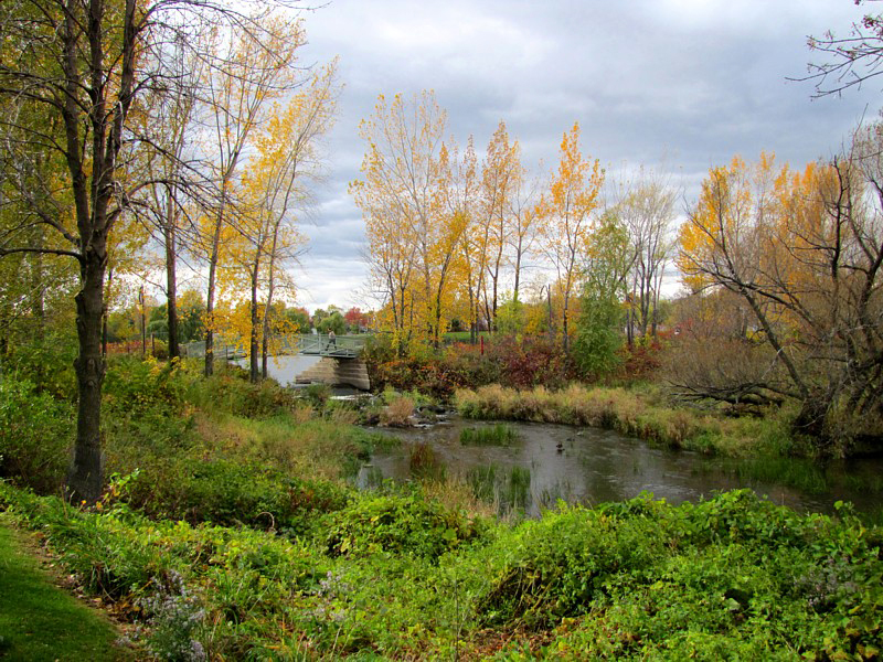 Vue d'automne