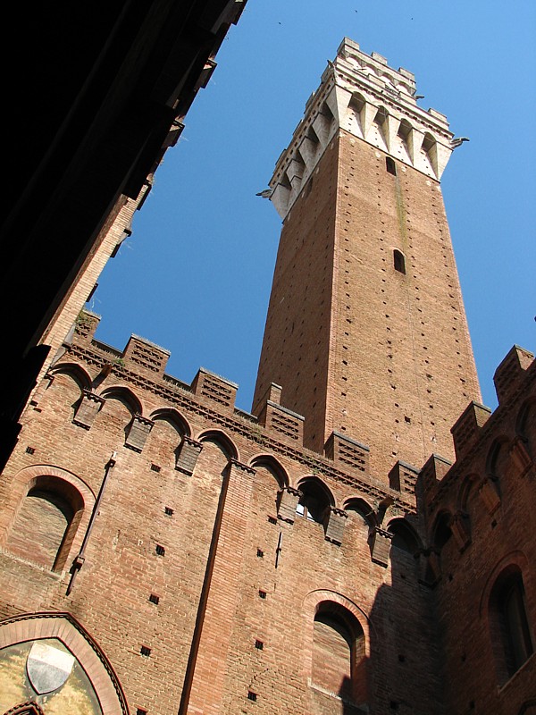 la Tour du Mangia