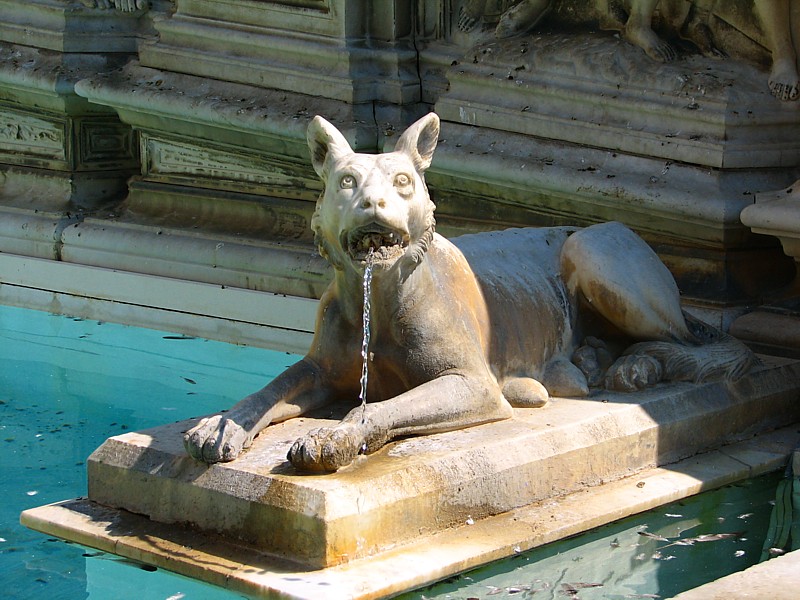 le loup fontaine