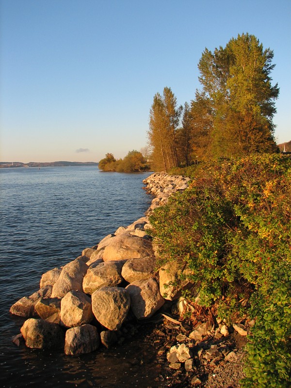 la protection des berges