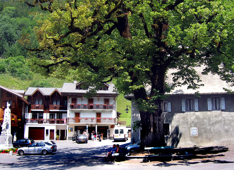 L'arbre de la libert- Sixt