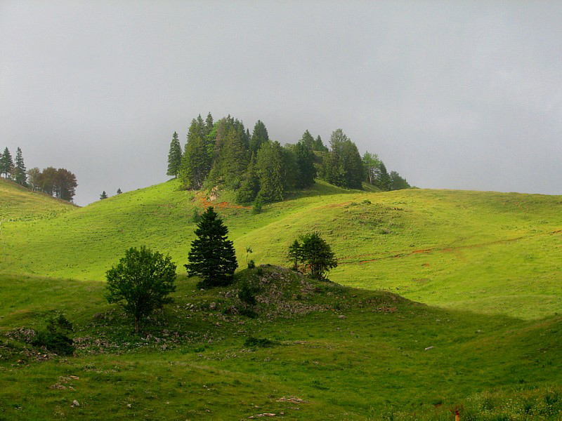 paysage du Jura