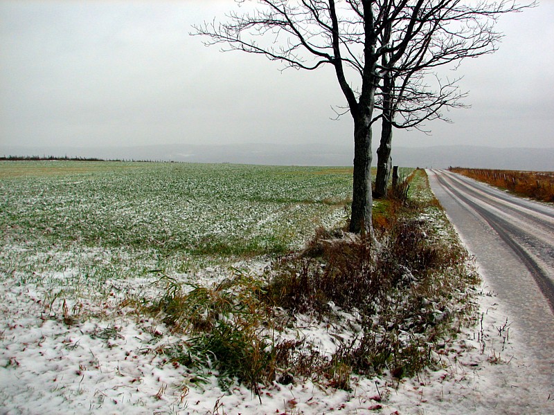 neige sur l'Ile