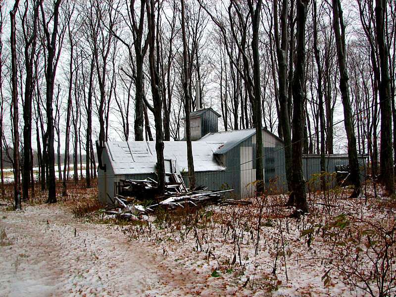 la cabane  sucre