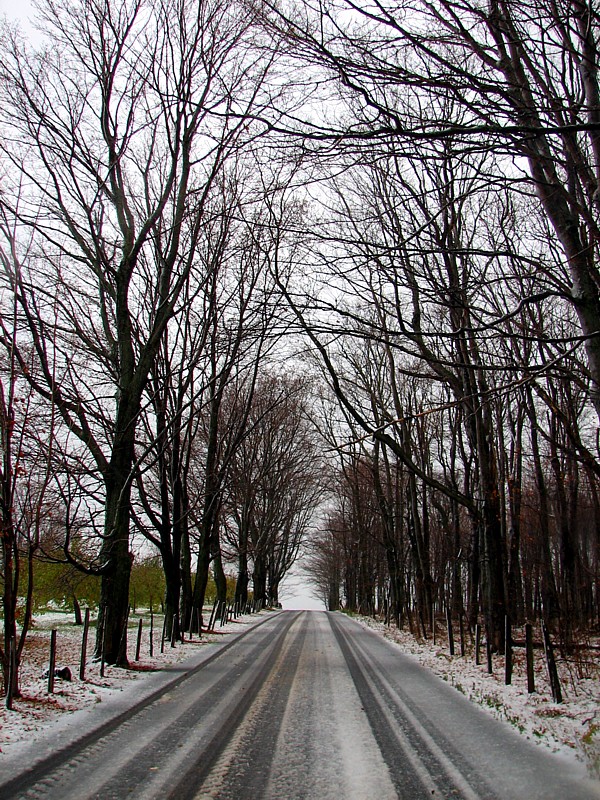premières traces d'hiver