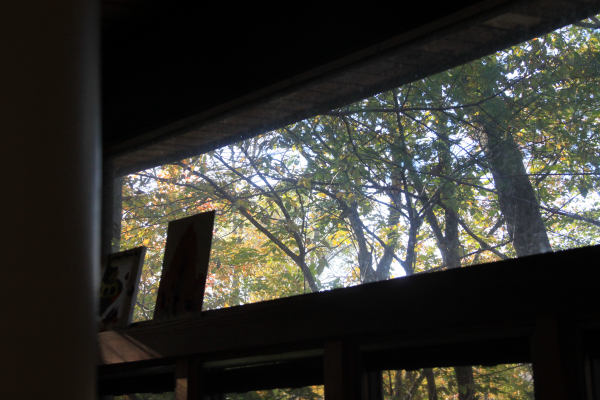 ir-10101909_18_348770.jpg