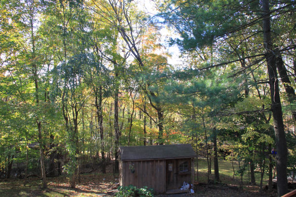 ir-10101909_20_228773.jpg