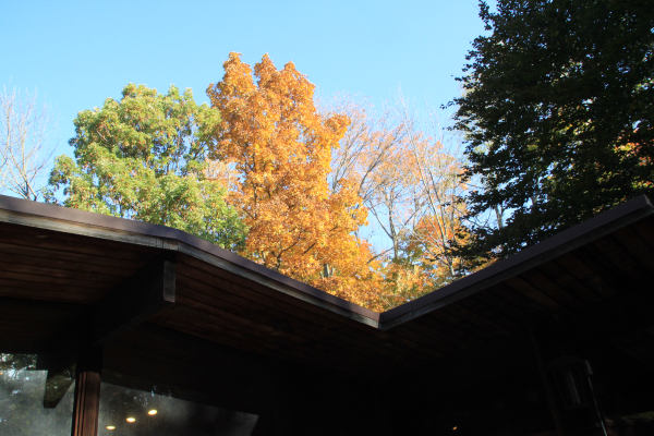 ir-10101909_21_558779.jpg