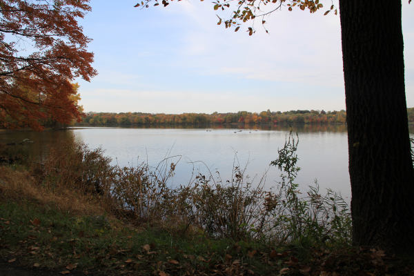 ir-101024_11-10_8901.jpg
