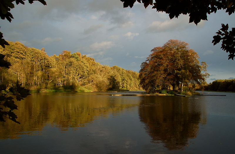 DSC_0007s.jpg