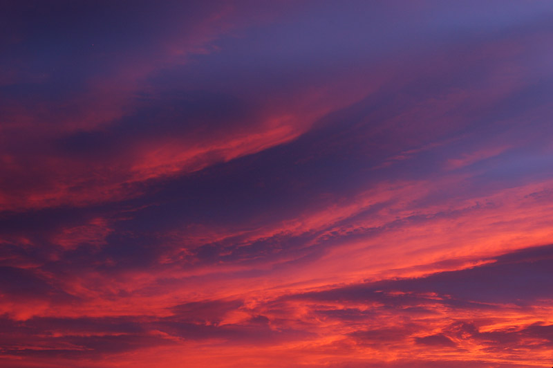 DSC_0102s.jpg