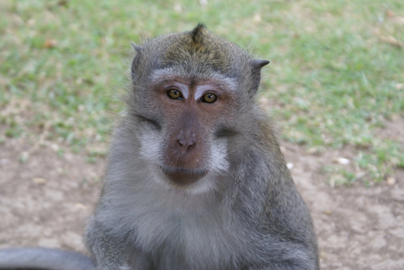 DSC01013.800.jpg