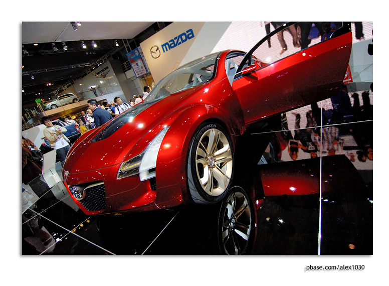 DSC_9251a.jpg