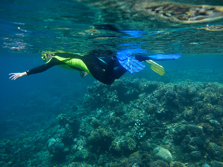 Tusa Dive ~ Cairns