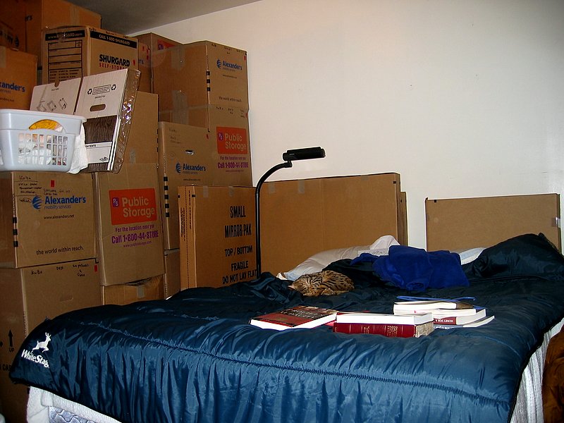 We now have room for a bed