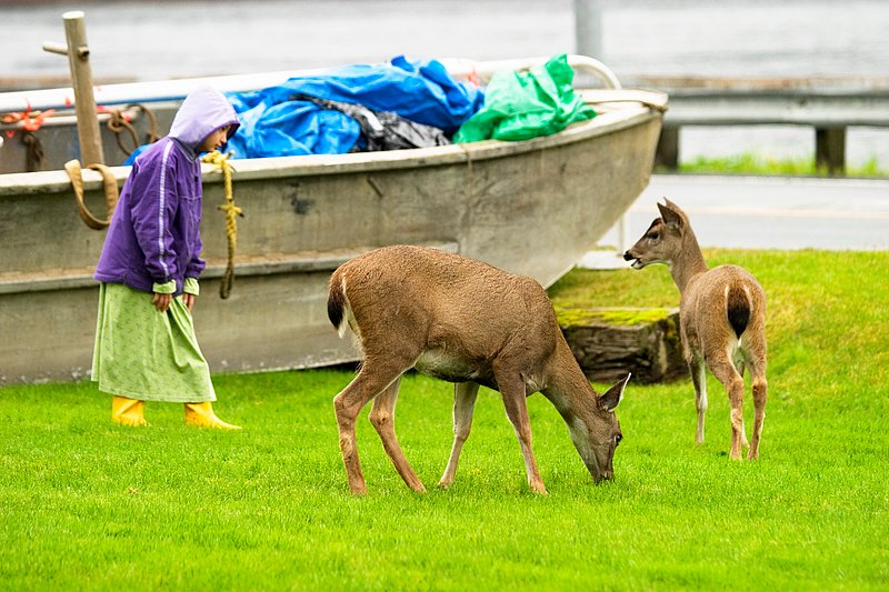 Amy and Deer