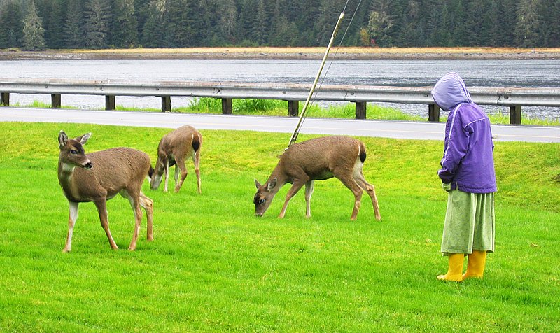 Amy and Deer