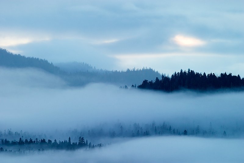 Misty Sunset
