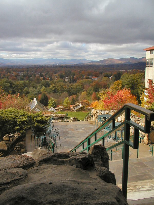 View from the Rear Porch