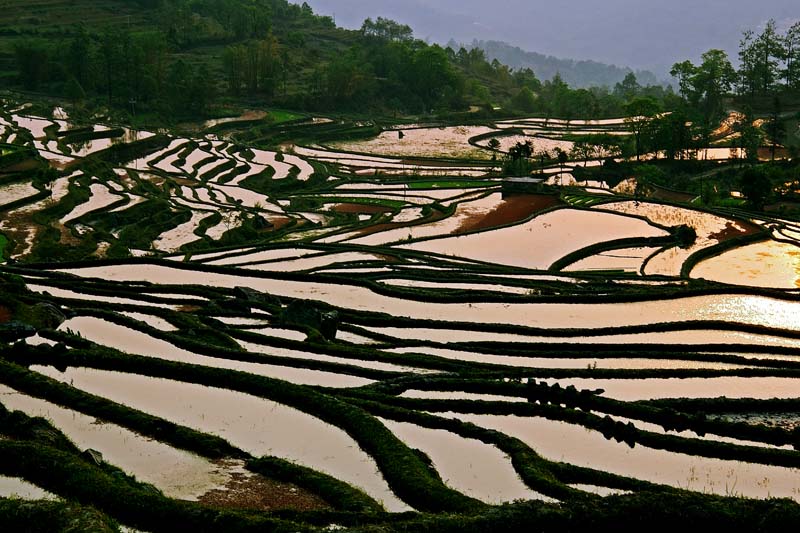 YuanYang Day 2  ĤG