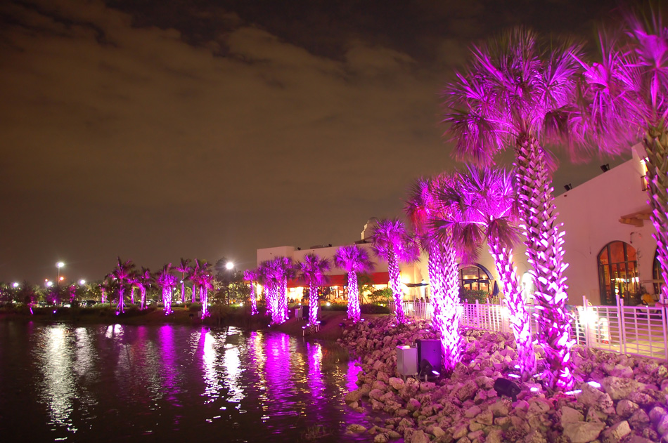Palms under purple light