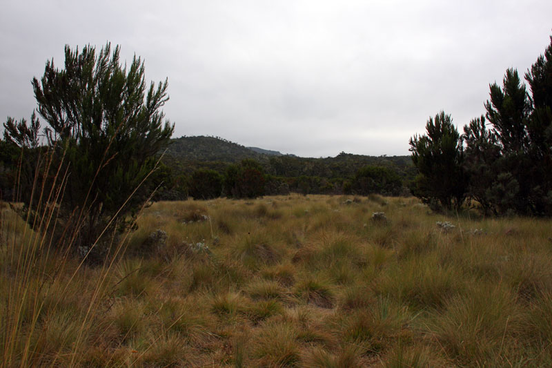 On the way to the Maundi Crater