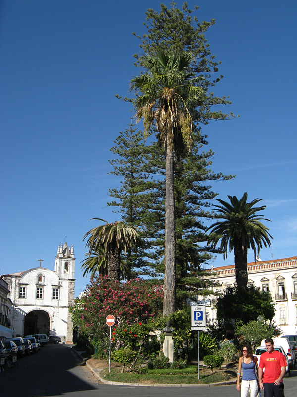 Tavira