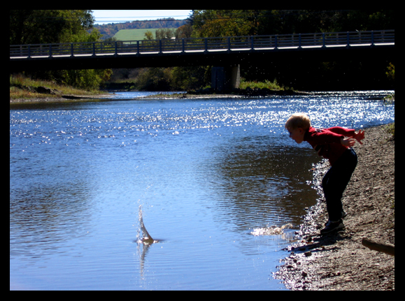 IMG_0774a copy.jpg